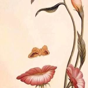 Meet your Posher, Gomez